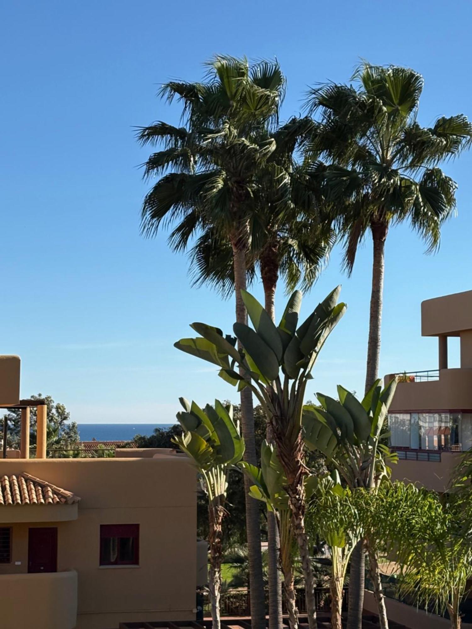 Paraiso Cala Azul- Apartment